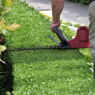 Mantenimiento de jardines