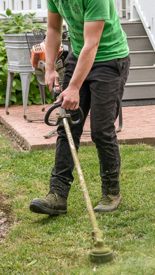 Mantenimiento de jardines en Valladolid