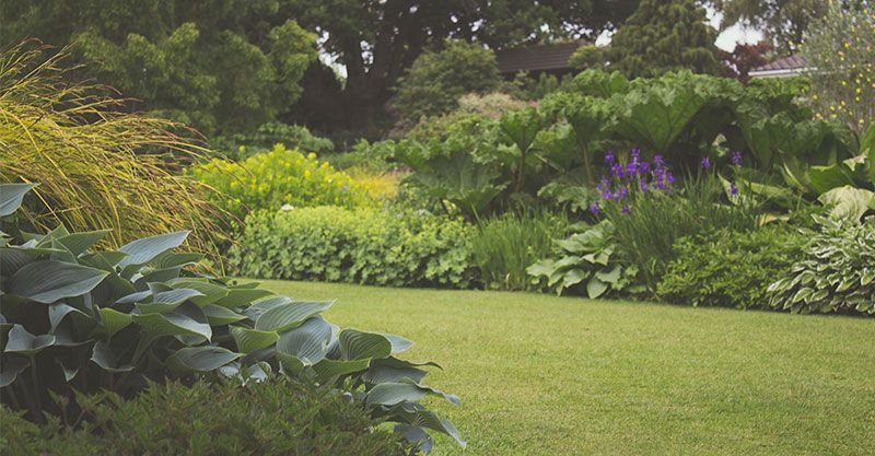 Servicio integral de limpieza en valladolid